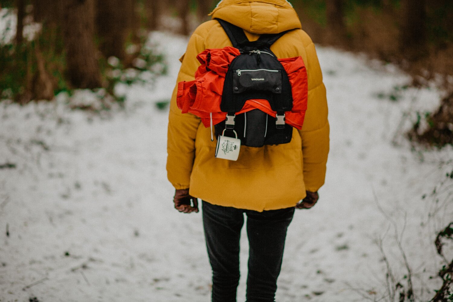 photo courtesy of unsplash/ Thom Holmes