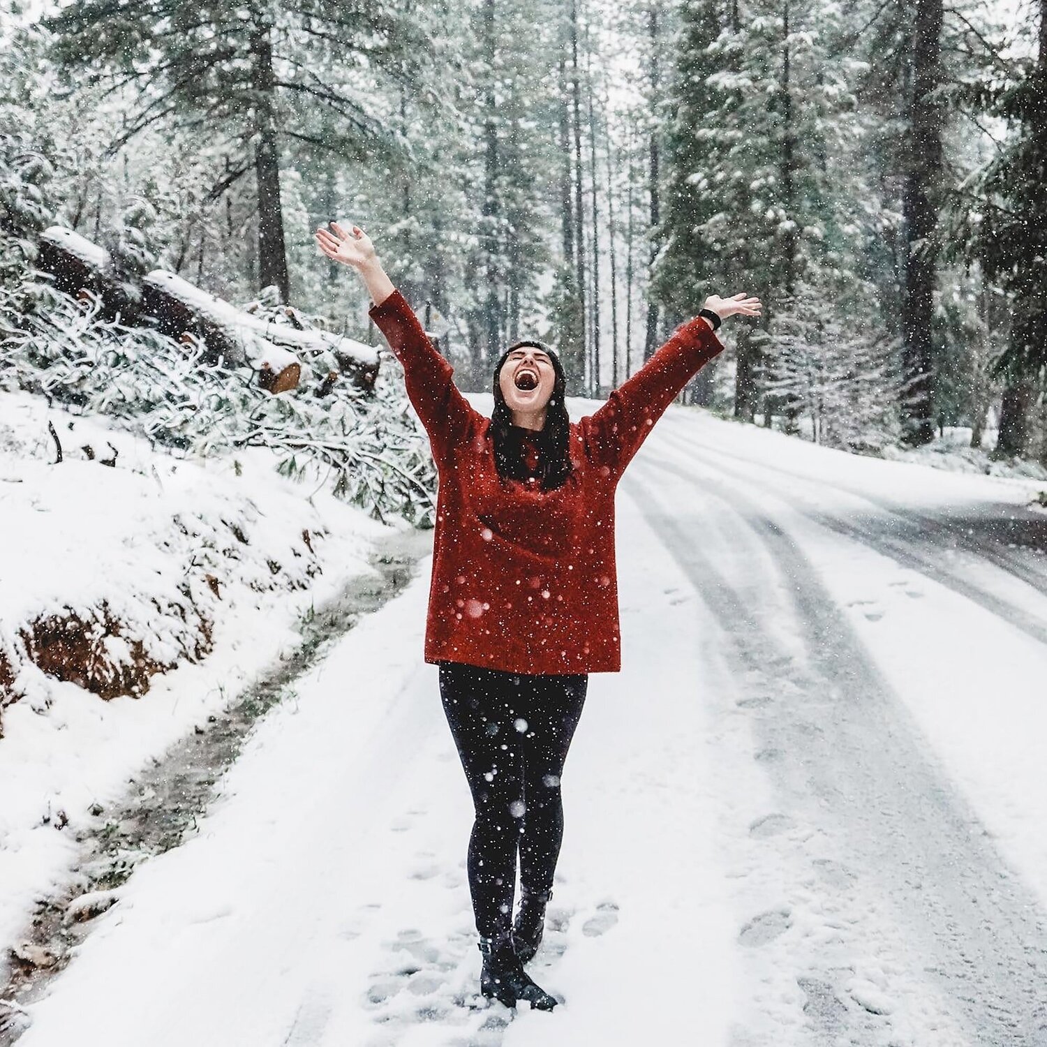photo courtesy of unsplash/ Emily Hoehenrieder